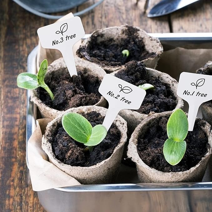 KINGLAKE 100 Pcs 6 x10cm Plastic Plant T-Type Tags Nursery Garden Labels - Image 4