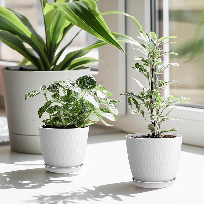 6 inch Flower Pots, 5 Pack Plant Pots - Image 7