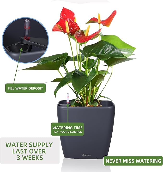 Dexceder 11x10 Self Watering Planter Indoor Outdoor, Inner Mat Design, - Image 5
