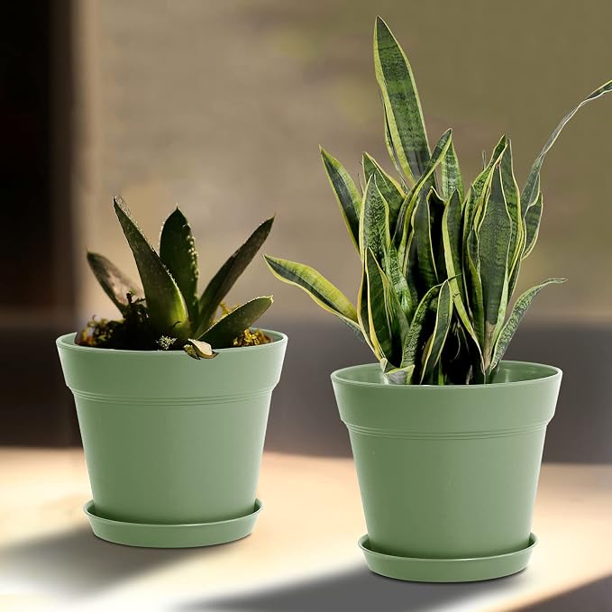 WOUSIWER 16 Pack 6 inch Plastic Planters, Plastic Indoor Planter Flower Pots - Image 7