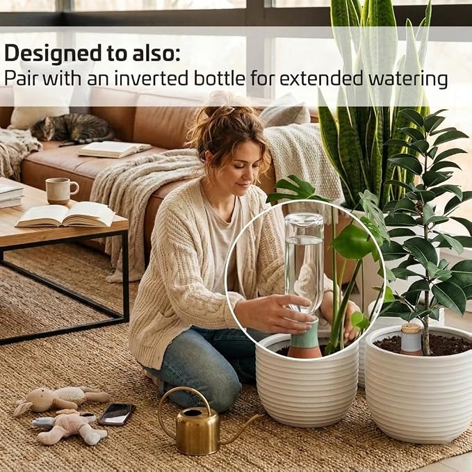 Ollas Plant Watering Globes - Image 5