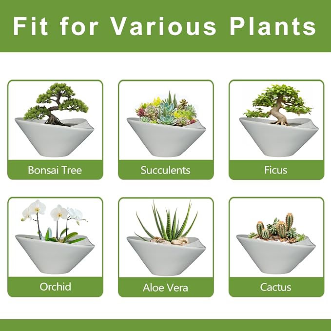 Bonsai Pots 13 Inch - Image 7