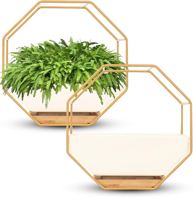 IRYL Wall Planter for Indoor Plants - Image 3