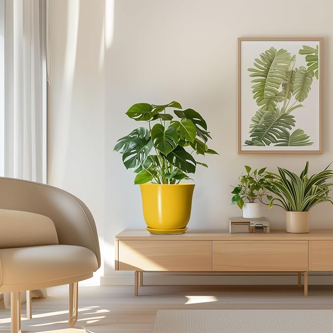 Ceramic Pots for Plants - Image 7