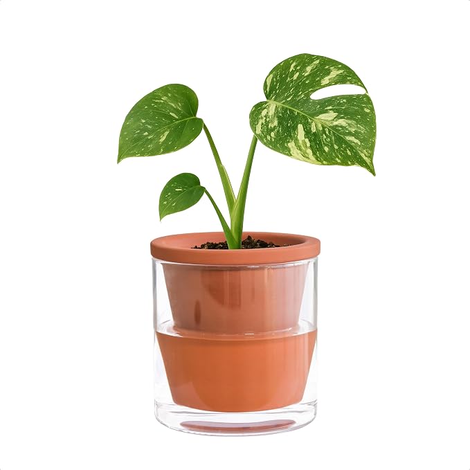 D'vine Dev 4 Inch Design Self Watering Pot by DvineDevPlanterPotsandStand