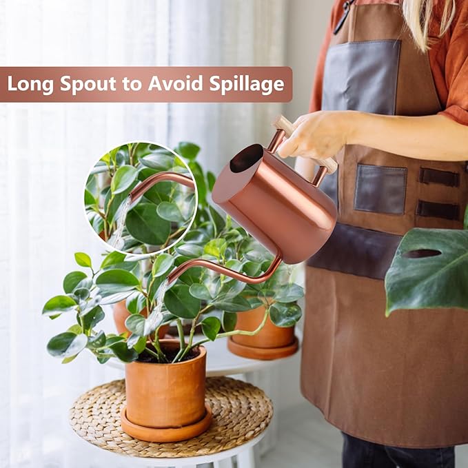 Watering Can Indoor Plants, 35oz Small Stainless Steel Metal Watering Can - Image 2