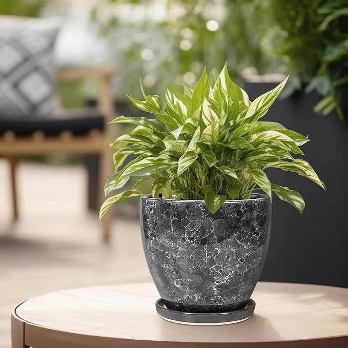 6.3 Inch Plant Pot - Image 4