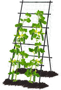 Lalahoni Cucumber Trellis, 6ft Tall Metal Garden Trellis by Thereasonyoulovegardening