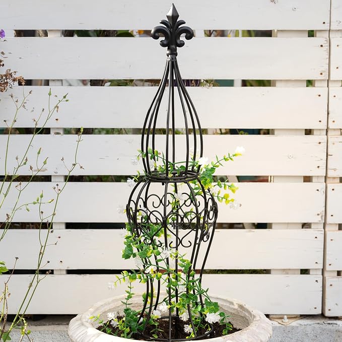 Obelisk Metal Garden Trellis for Climbing Plants by Goooxim