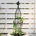 Obelisk Metal Garden Trellis for Climbing Plants by Goooxim