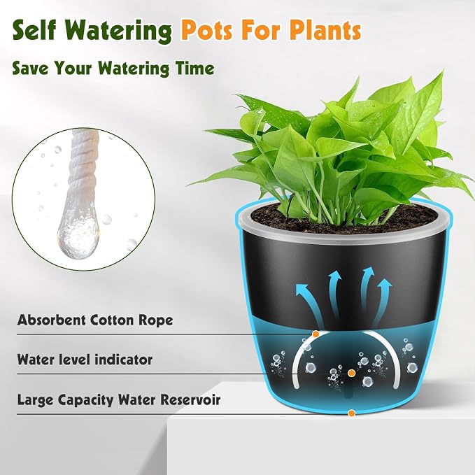 Self-Watering Pots for Indoor Plants, Small African Violet Pots - Image 5