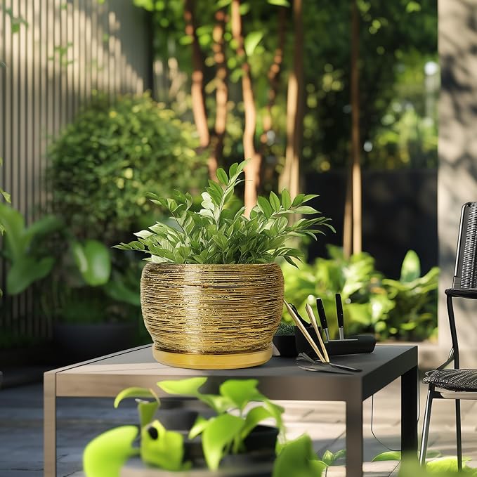 SQOWL Ceramic Planter for Indoor Plants - Image 5