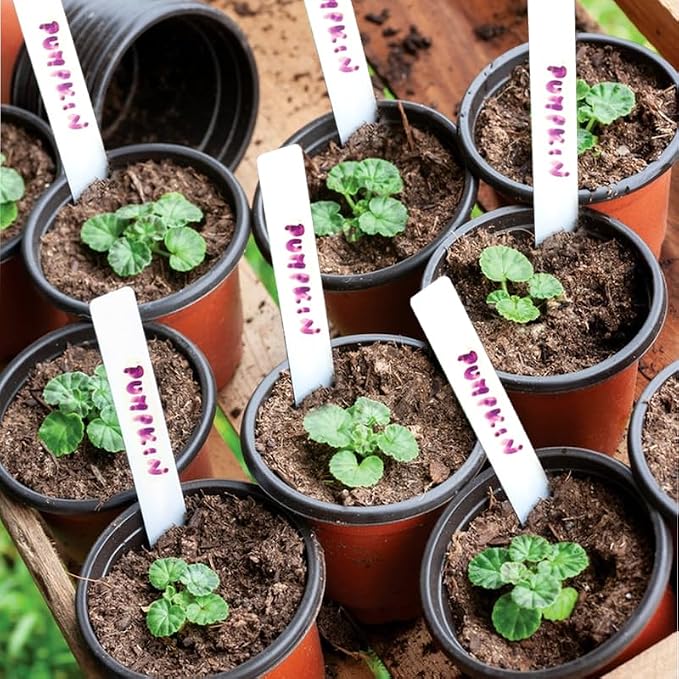 Plant Nursery Pot/Pots 100 Pcs 4" Plastic Small Plants Pots Flower Pots Seed - Image 5