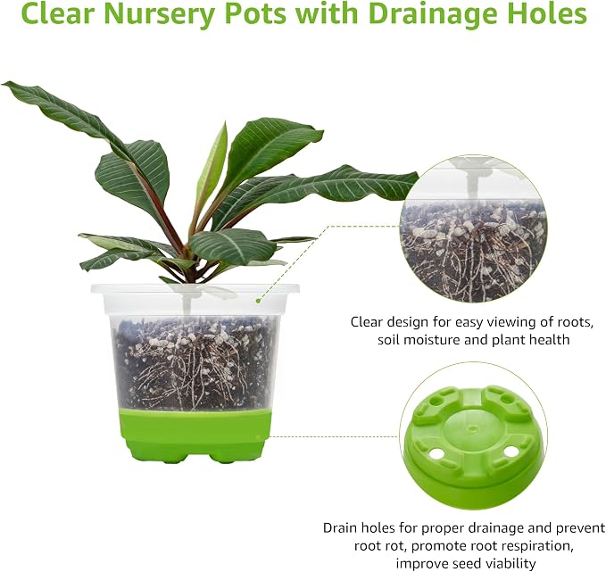 MIXC Thickened Clear Nursery Pots - Image 5