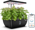 iDOO Hydroponics Growing System Kit 12Pods WiFi, Christmas Gifts by idoo