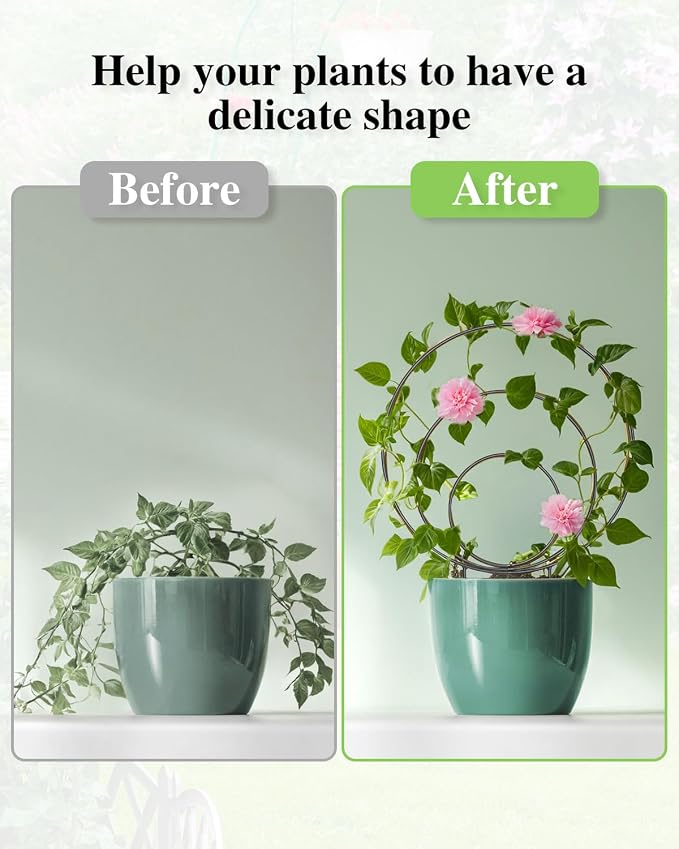 3 Pcs Different Sizes Metal Hoya Trellis, Small Round Indoor Plant Trellis - Image 5
