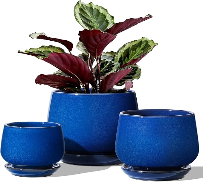 LE TAUCI Plant Pots, 4.1+5.1+6.5 inch, Ceramic Planters by LETAUCI