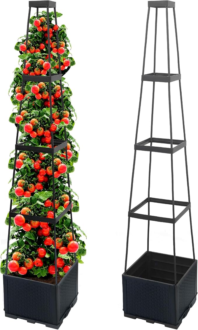 2 Packs Raised Garden Bed Tomato Planter Box by Biotolot