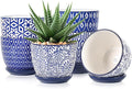 Selamica Ceramic Succulent Pots, 4.6 Inch Small Plant Pots by Selamica