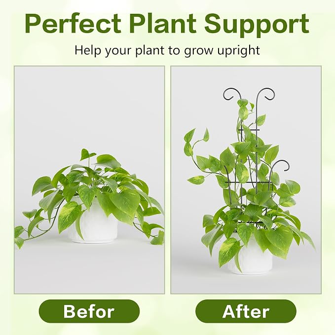 Larger 23.6in Taller Plant Trellis - Image 4