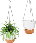 GARDIFE Hanging Planter, 10 inch Hanging planters by GARDIFE