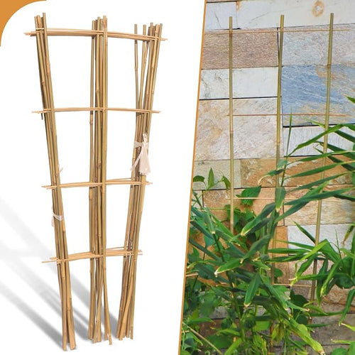 10 Pack 3ft Bamboo Trellis for Climbing Plants by Biotolot