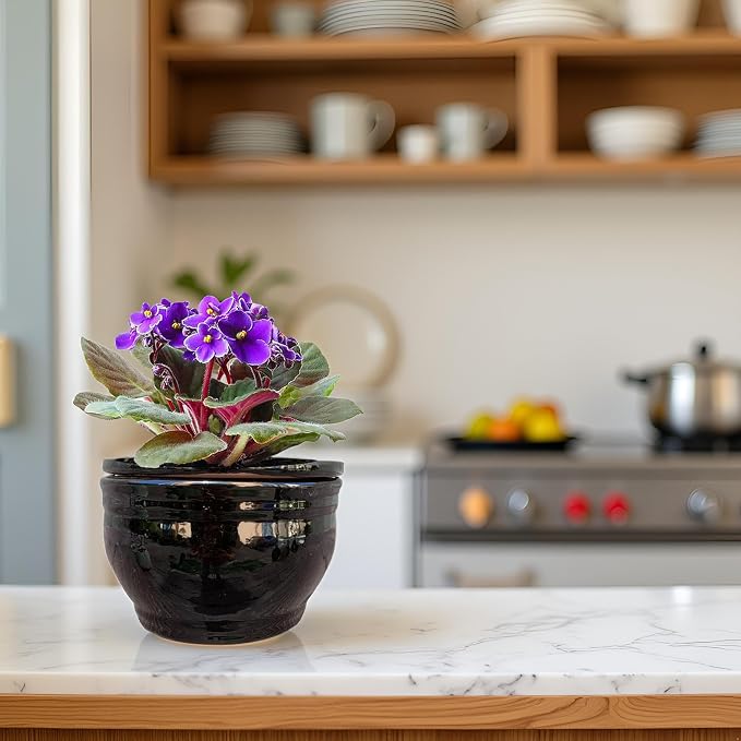 African Violet Pots Self Watering Round Ceramic Violet Pot - Image 9