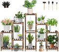 Uneedem Wood Plant Stand Indoor Outdoor Corner Plant Shelf Stand, 5 Tiered 10 by Uneedem