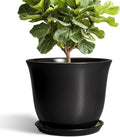 Ceramic Plant Pots by SUNPOTFOR