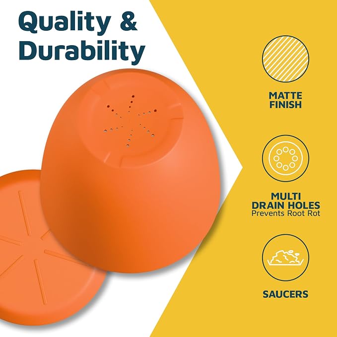 Yellow Plant Pots with Drainage Holes & Saucers 20 Pack, Indoor & Outdoor - Image 6