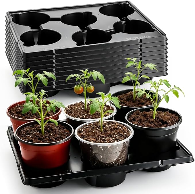 6 Cell Round Nursery Pot Trays for 6 Inch Pots, Thickened Sturdy Seedling Pot by RooTrimmer