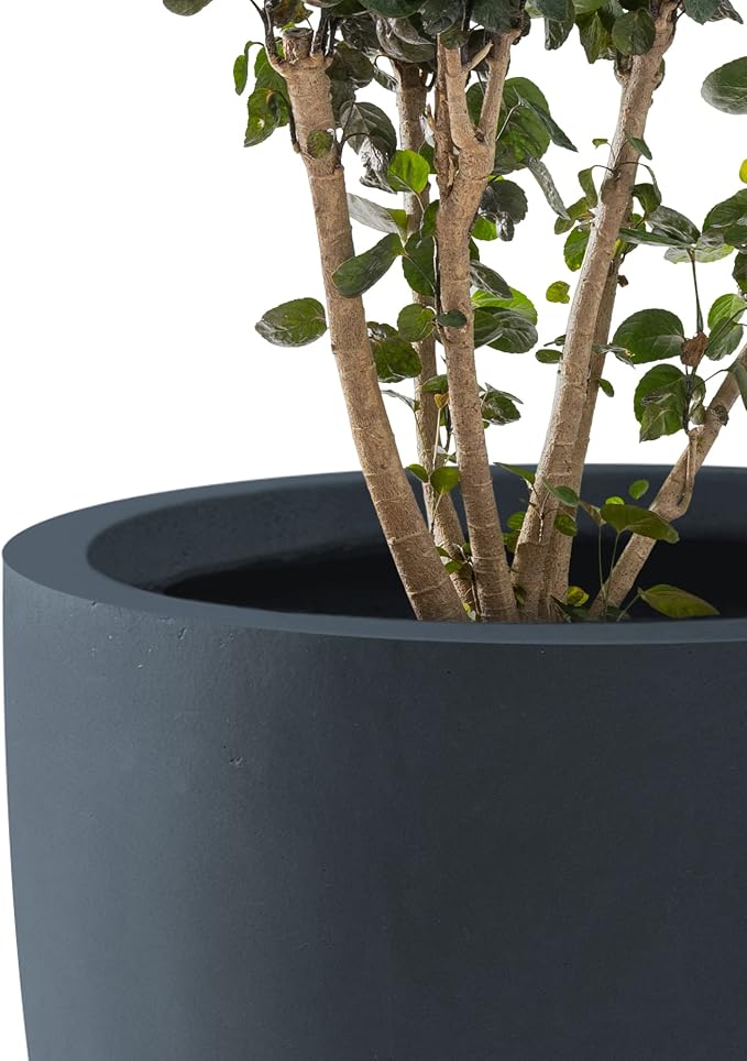 Kante 10 Inch Dia Round Concrete Planter, Indoor Outdoor Large Plant Pot - Image 3