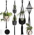 Nook Theory 4-Pack Macrame Plant Hangers by NookTheory