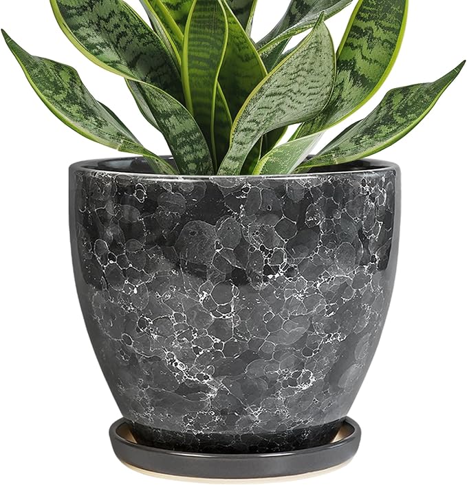 6.3 Inch Plant Pot by EPFamily