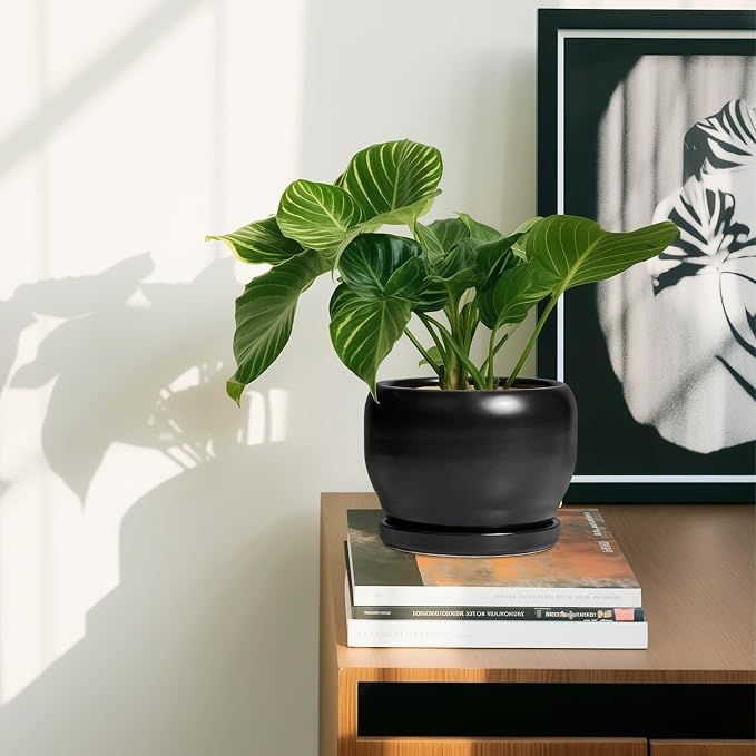 SQOWL Ceramic Plant Pot - Image 6