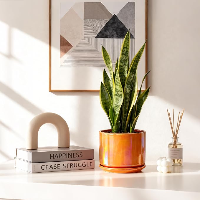 EFISPSS Ceramic Plant Pots, 4+5+6 Inch Ceramic Indoor Pots - Image 6