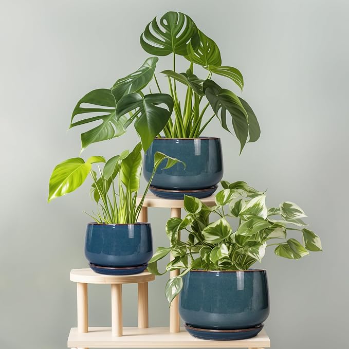 G EPGardening Ceramic Plant Pots - Image 7