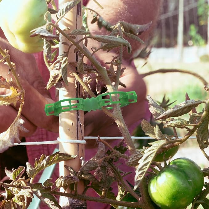 OJYUDD 300 Pcs Plant Support Clips, Plastic Tomato Clips, Plant Support Clips - Image 6