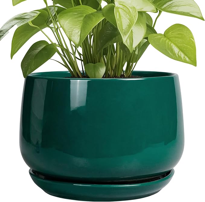 G EPGardening Ceramic Pots for Plants by GEPGardening