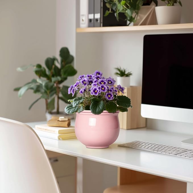 African Violet Pots, 6 Inch Ceramic Easy Self Watering Pots - Image 3