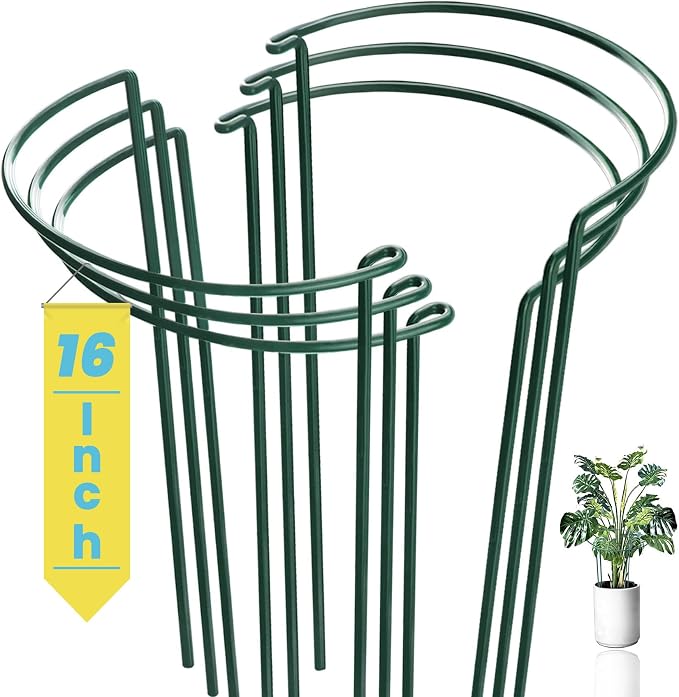 6-Pack Snake Plant Support Stakes, Half-Round Peony Cages and Supports by WooWellGoGoGoProducts