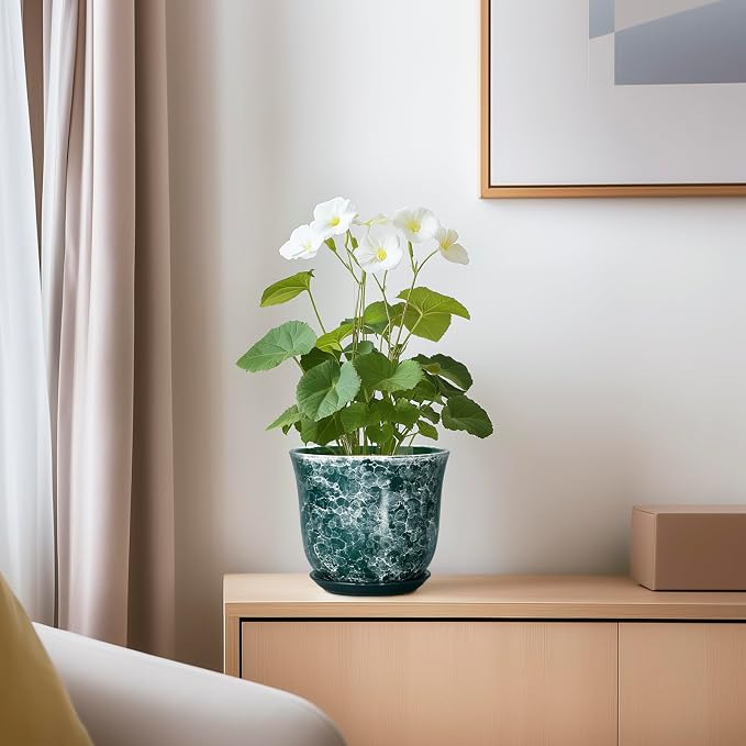 Ceramic Pots for Plants - Image 6