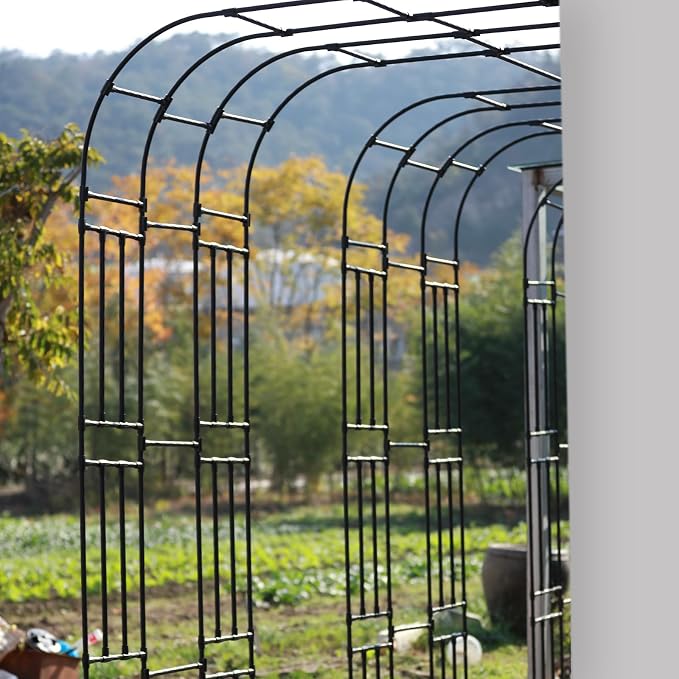Half Sided Arch Against The Wall Garden Trellis - Image 9