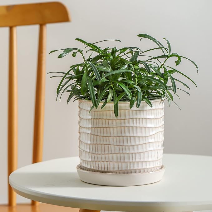 5.8 Inch Plant Pot: Ceramic Planter - Image 5