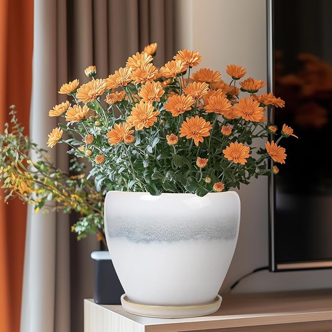 Ceramic Pots for Plants - Image 2