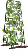 Heavy Duty 50"x17" Adjustable A-Frame Trellis by Unknown