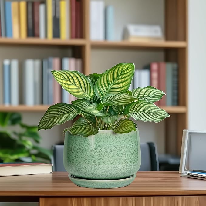 G EPGardening Ceramic Plant Pot - Image 8