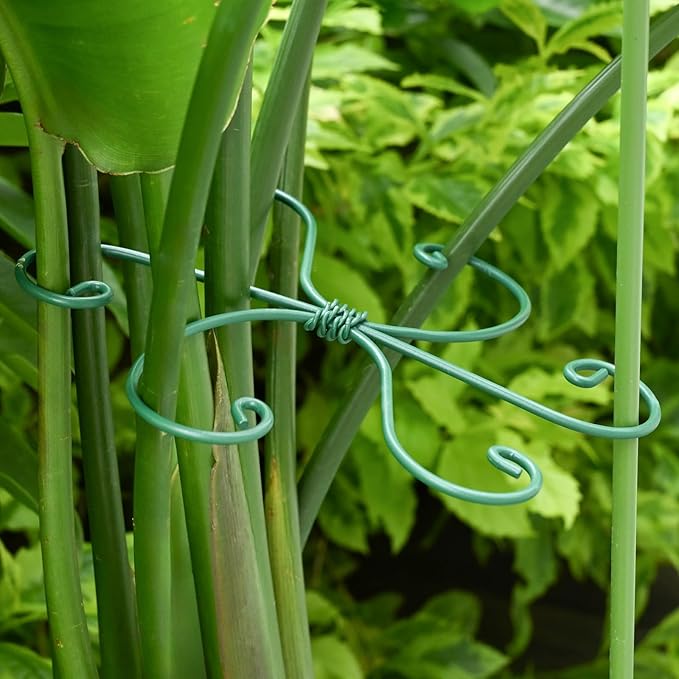 Monstera Plant Stem Support - Image 6