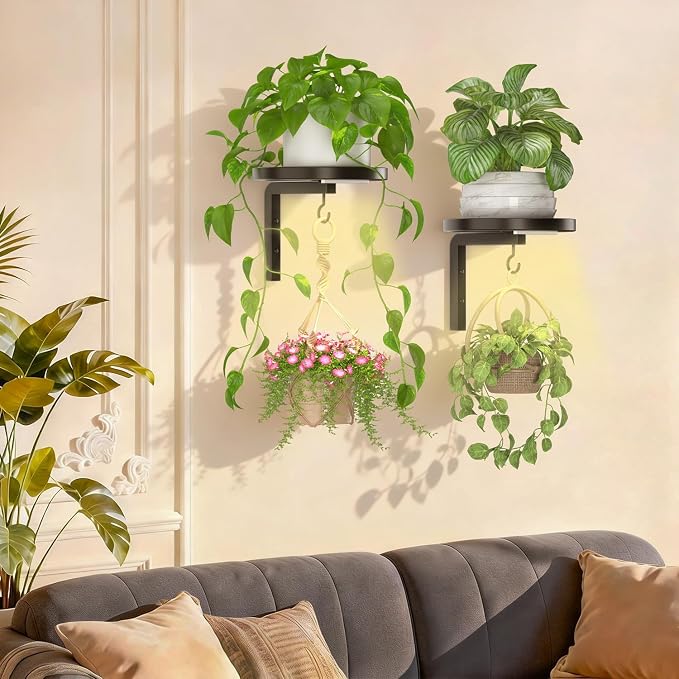 iDavosic.ly Wall Plant Holder - Image 7