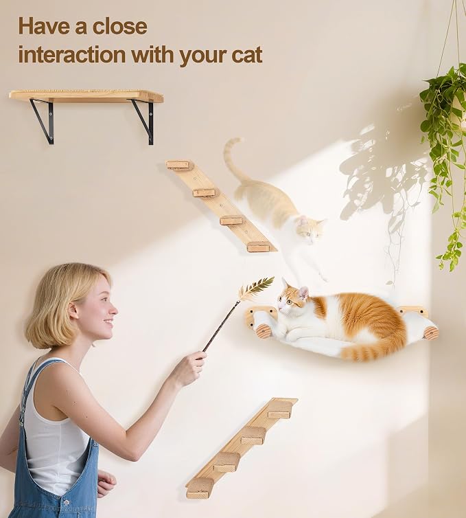 Cat Wall Hammock Set of 3, Wall Shelves - Image 5